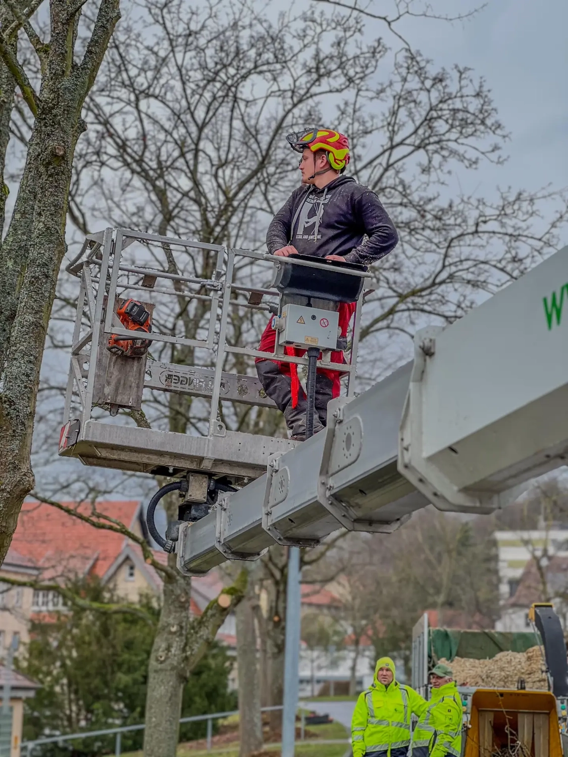 Marc Löhr GmbH & Co.KG - Garten- und Landschaftsbau - Dieses Bild zeigt einen professionellen Baumfäll- oder Baumschnittdienst in Aktion.